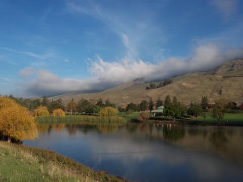 Embark on an exquisite adventure at the Ed R Levin County Park in Milpitas, California!