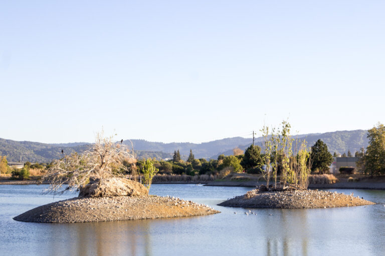 Los Gatos Creek County Park