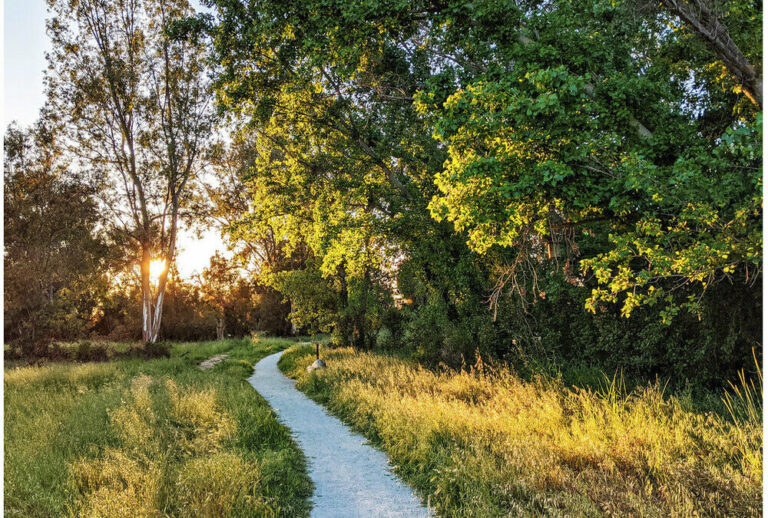 Explore the captivating Ulistac Natural Area in Santa Clara, California.